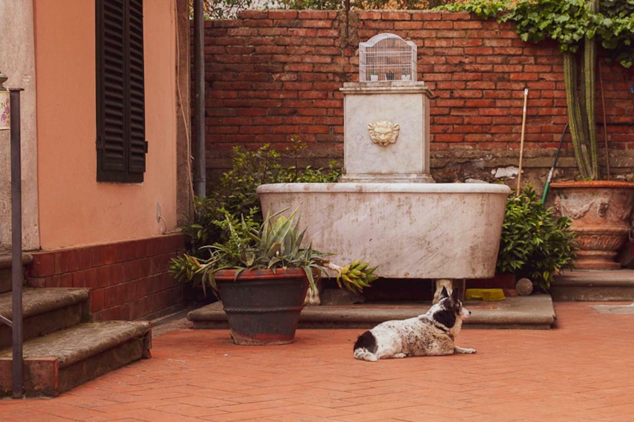 Il Villino Bed & Breakfast Lucca Dış mekan fotoğraf